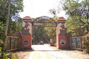 See it closer what inside of Meru Betiri National Park