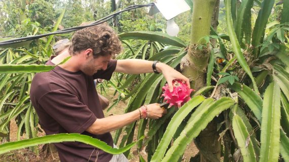 WhatsApp Image 2026-01-03 at 11.23.44