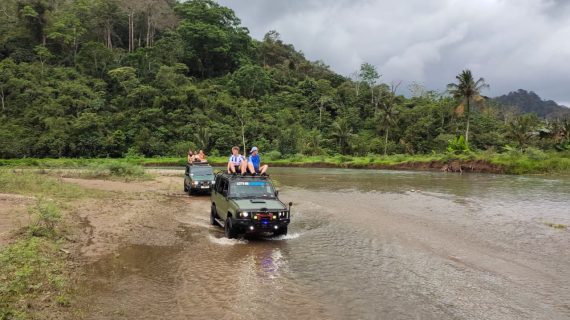 WhatsApp Image 2026-01-03 at 11.23.42 (1)