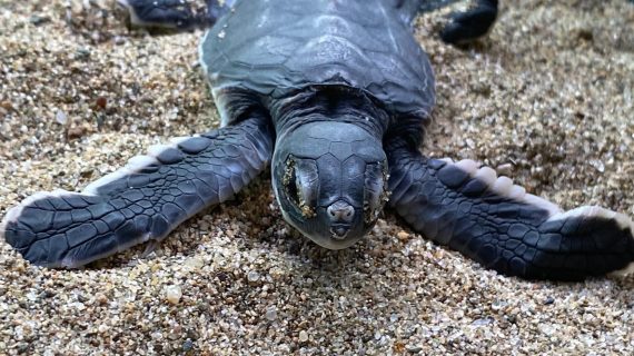 WhatsApp Image 2026-02-11 at 16.10.29