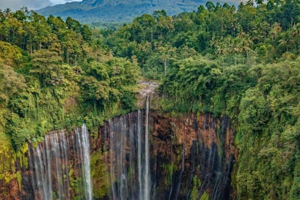 Tumpak sewu